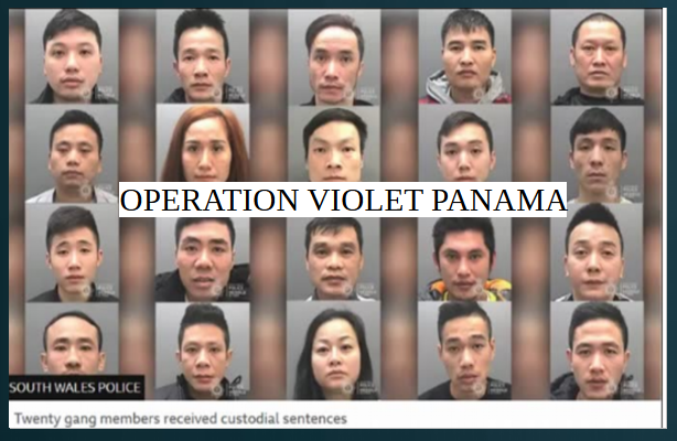 Operation Violet Panama